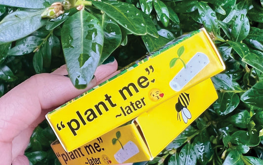 Exploring Emerging Trends in Cannabis Accessories