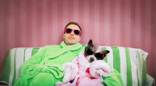 Embrace National Relaxation Day: Elevate Your Indoor Cannabis Experience