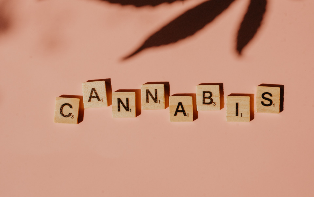 The History and Culture of 4/20: Must-Have Smoking Accessories