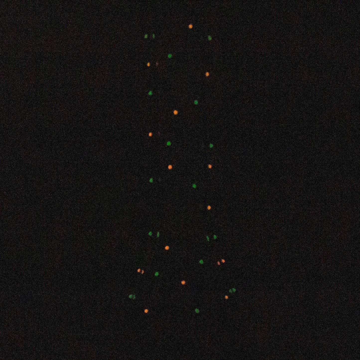 13" Resin 3D Monster Hare 7mm glass beaker  [DY512]_8