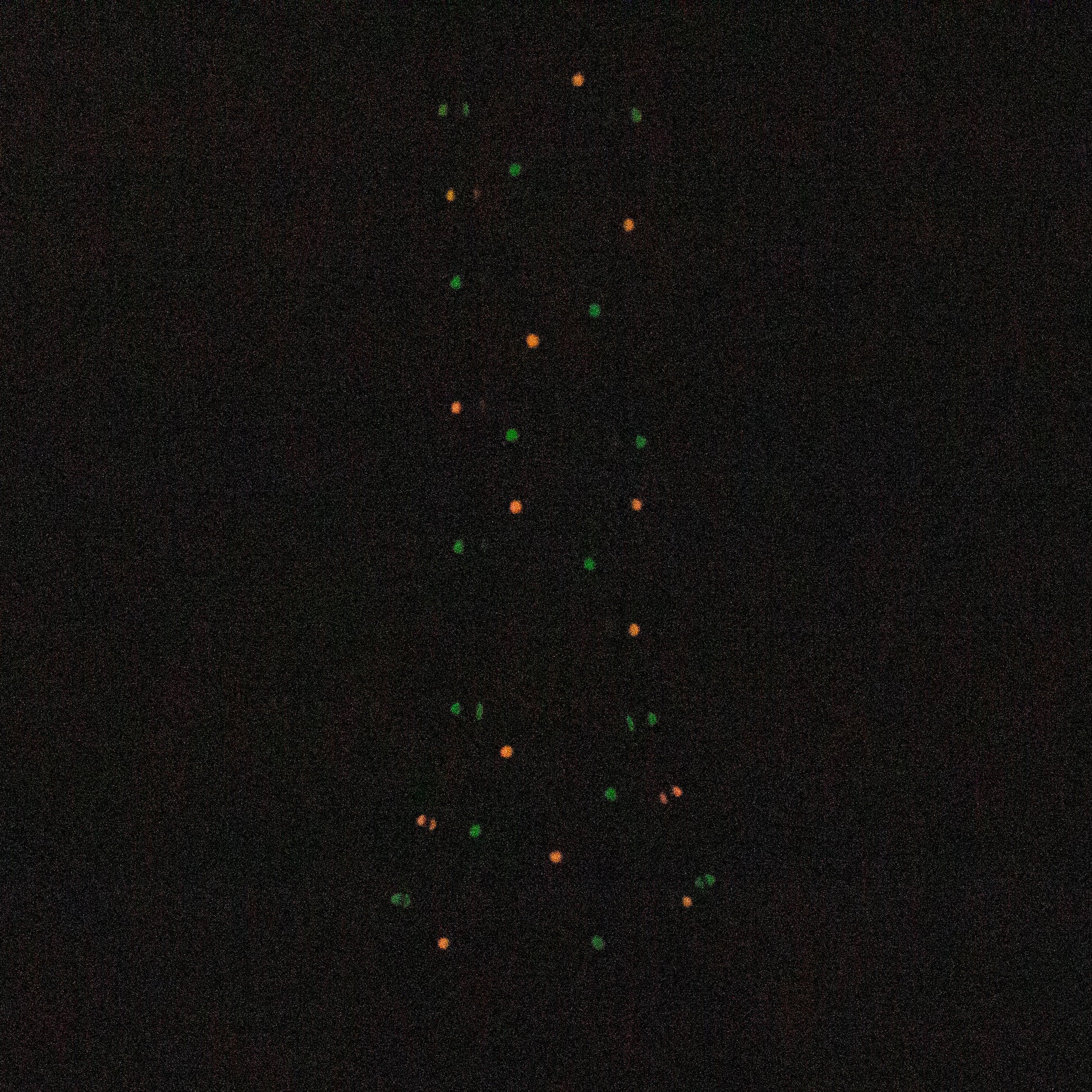 13" Resin 3D Monster Hare 7mm glass beaker  [DY512]_8