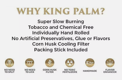 King Palm | Mini Rolled with flavor tips New Flavours - 20 pouches Display [SMK983]_5