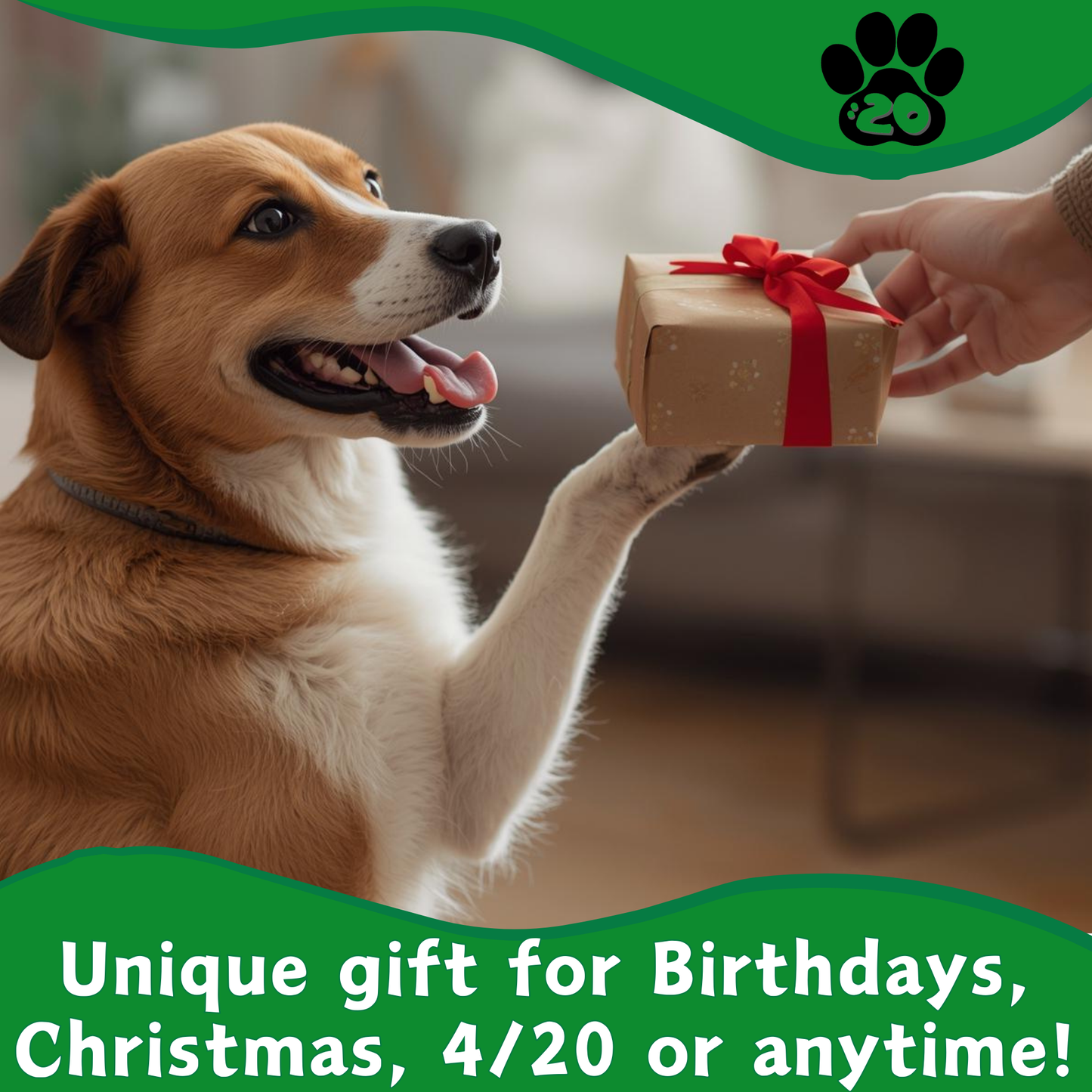 MJ the Marijuana Leaf - Squeaky Dog Toy - Shelf-Sitter Plushie - 13"