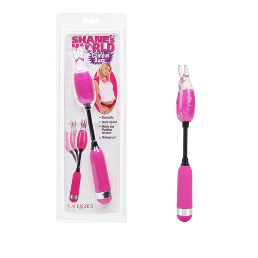 Shane's World Campus Buzz - Purple