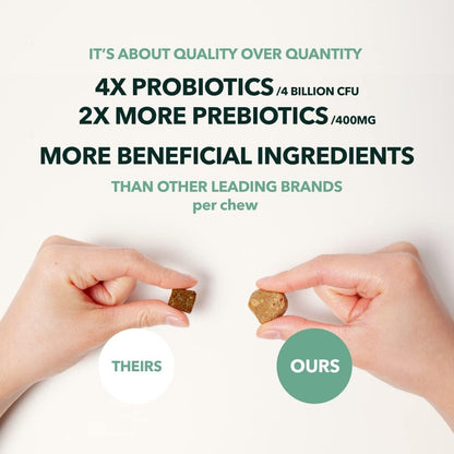 PetPal | Probiotic 4 Billion Soft Chew Treats for Dogs_3
