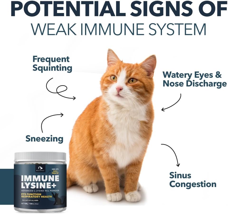 PetPal | L-Lysine Immune and Respiratory Support Supplement for Cats_4