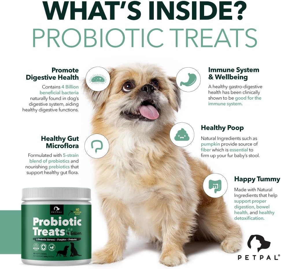 PetPal | Probiotic 4 Billion Soft Chew Treats for Dogs_1