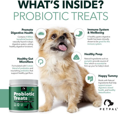 PetPal | Probiotic 4 Billion Soft Chew Treats for Dogs_1