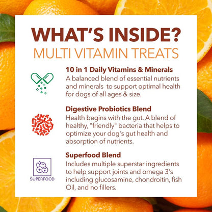 PetPal | Multi Vitamin Soft Chew Treats for Dogs