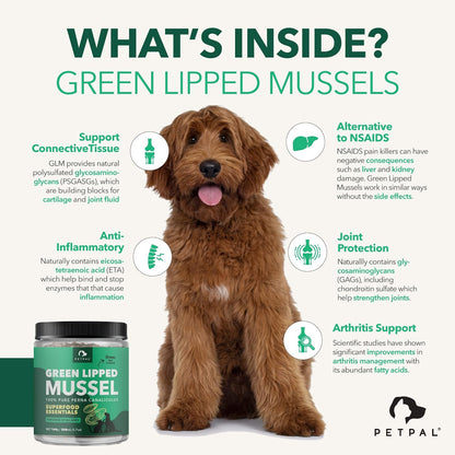 PetPal | New Zealand Green Mussel Powder for Dogs_1