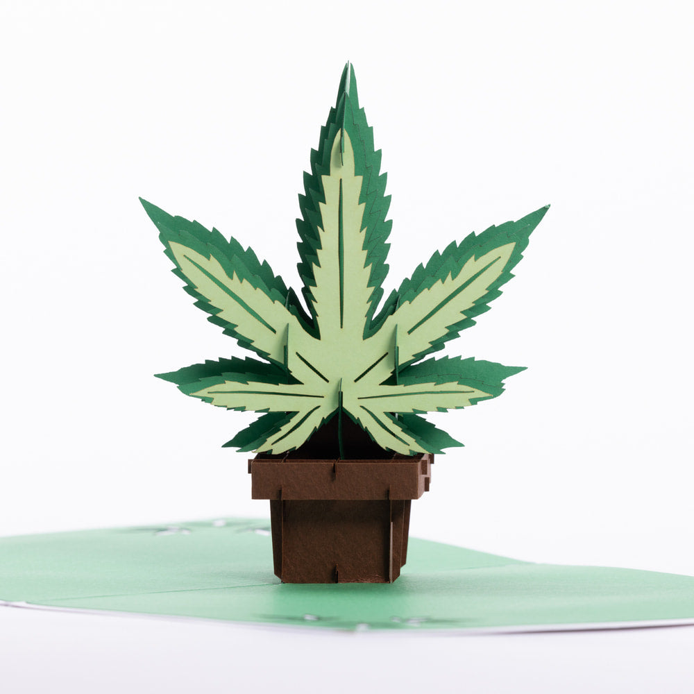 Intricate Greetings | Cannabis Leaf 3D Pop-Up Card – For Any Occasion
