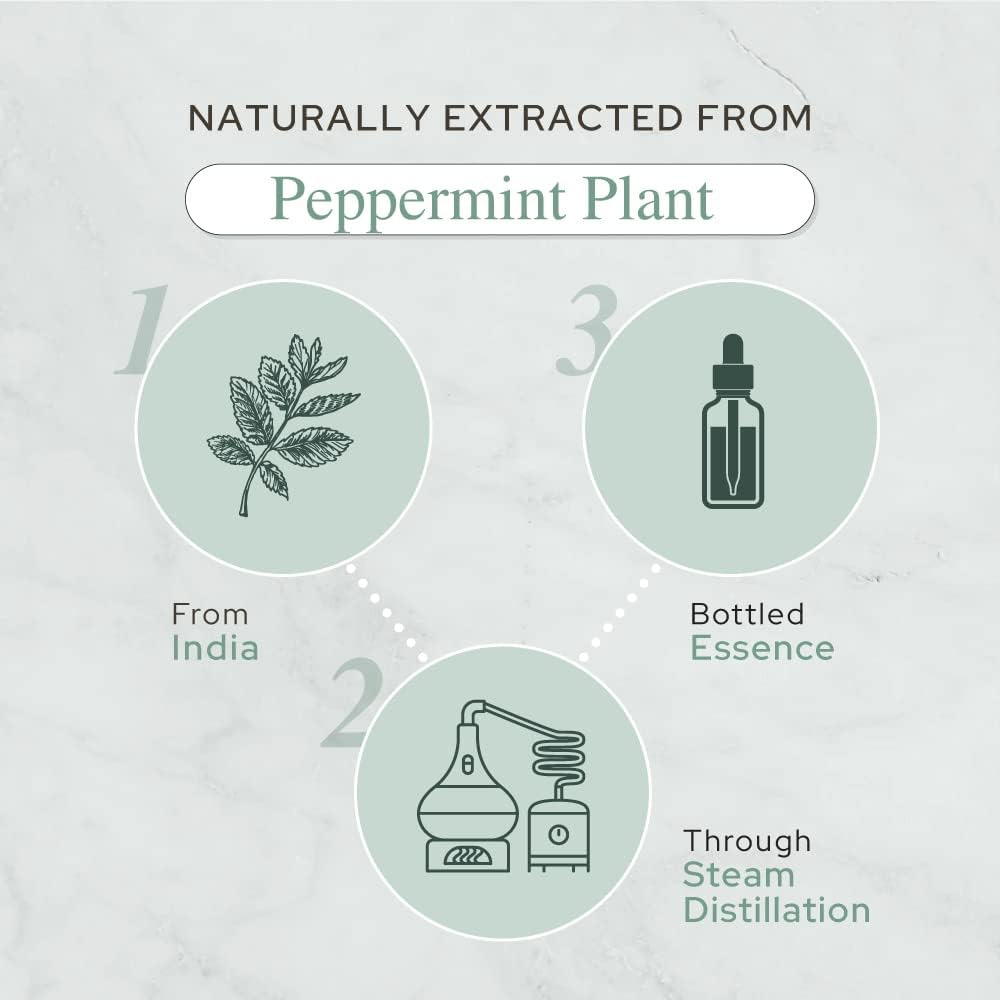 Plant of Life | Organic Essential Oil 1oz_7