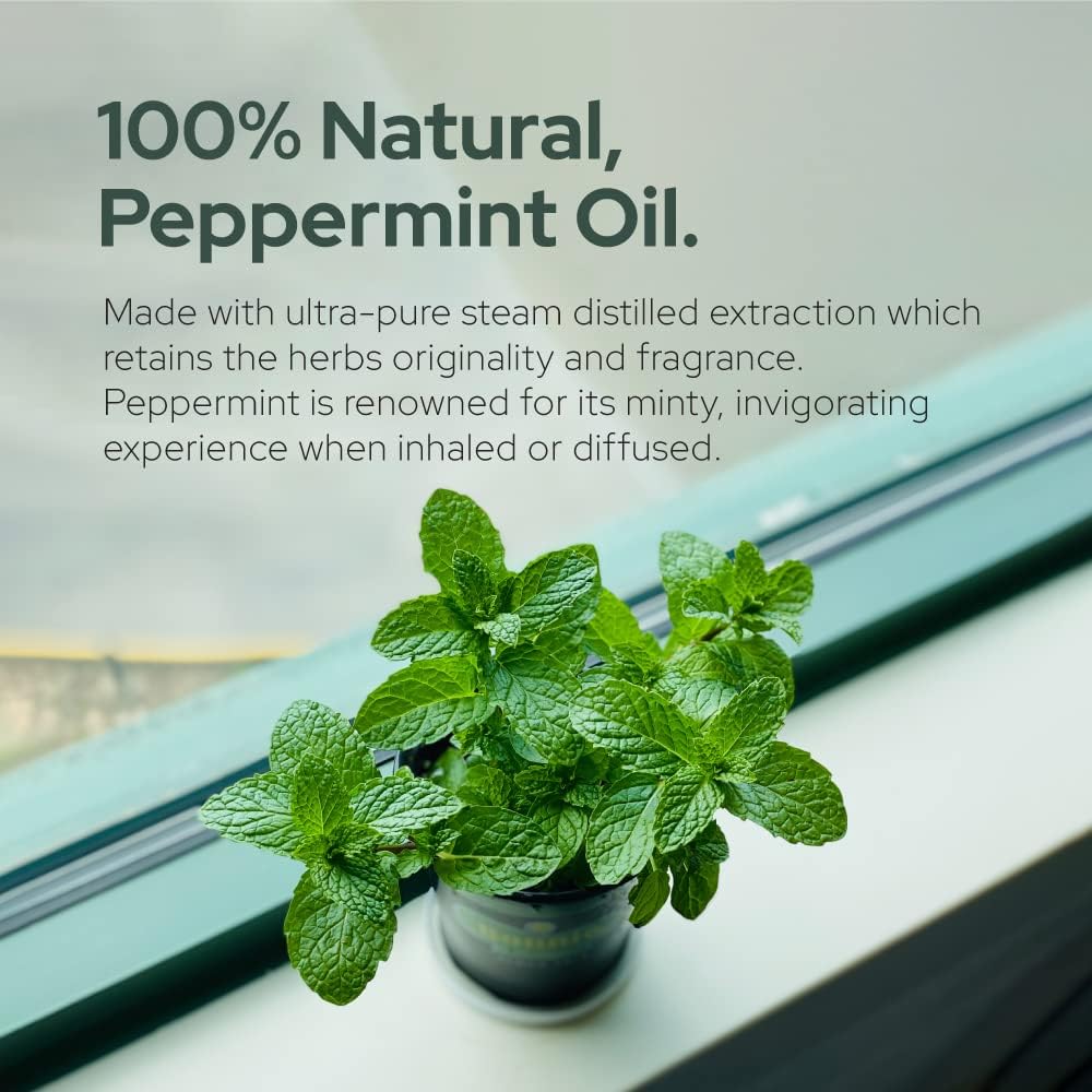Plant of Life | Organic Essential Oil 1oz_16