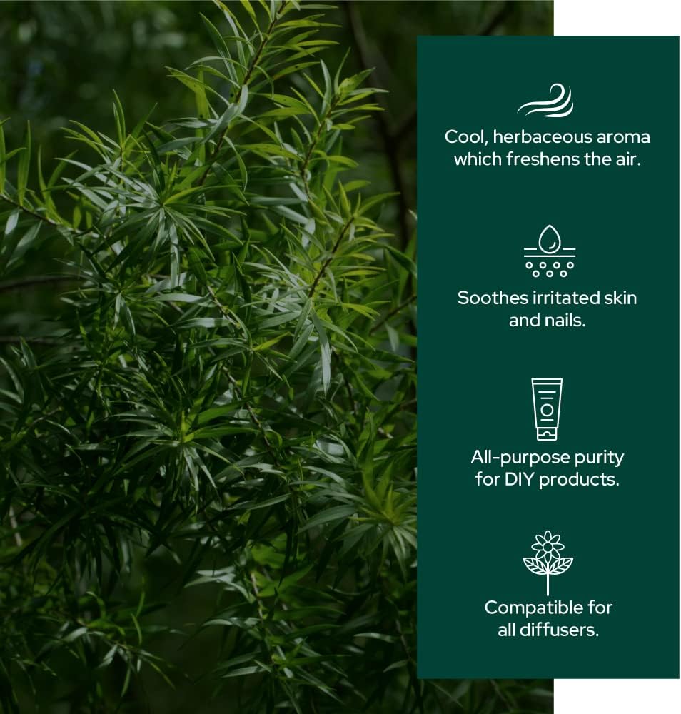 Plant of Life | Organic Essential Oil 1oz_4