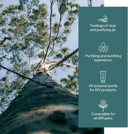 Plant of Life | Organic Essential Oil 1oz_5