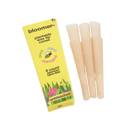 bloomer™ 1-1/4 paper cones - unbleached Box of 21_1