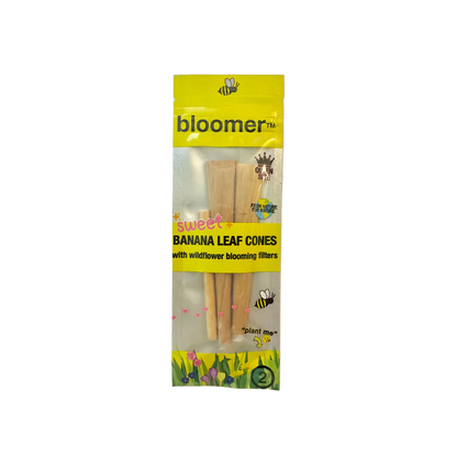 bloomer™ | sweet banana leaf cones box of 20_0